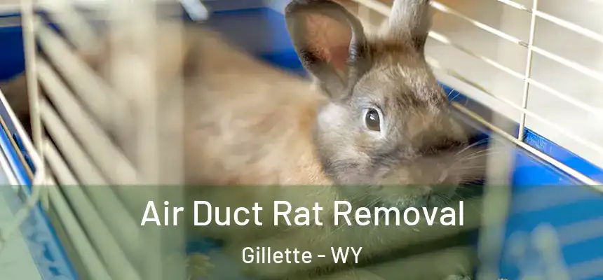  Air Duct Rat Removal Gillette - WY