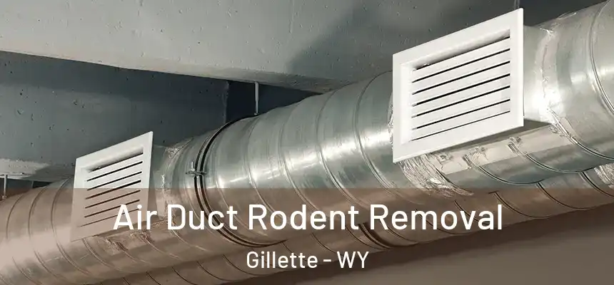  Air Duct Rodent Removal Gillette - WY