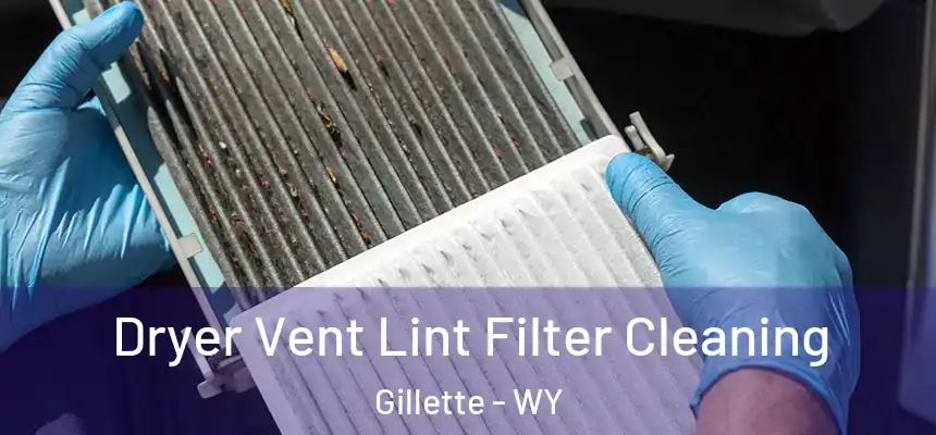 Dryer Vent Lint Filter Cleaning Gillette - WY