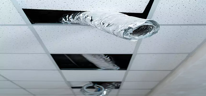 Affordable HVAC Sanitizing After Pest Removal in Gillette