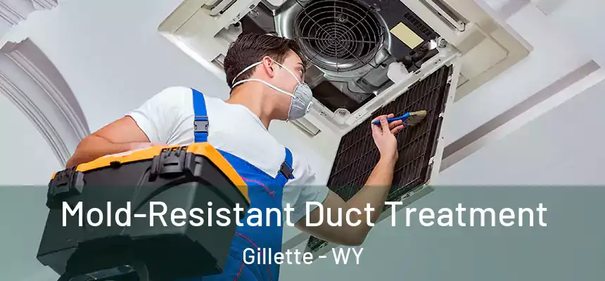  Mold-Resistant Duct Treatment Gillette - WY