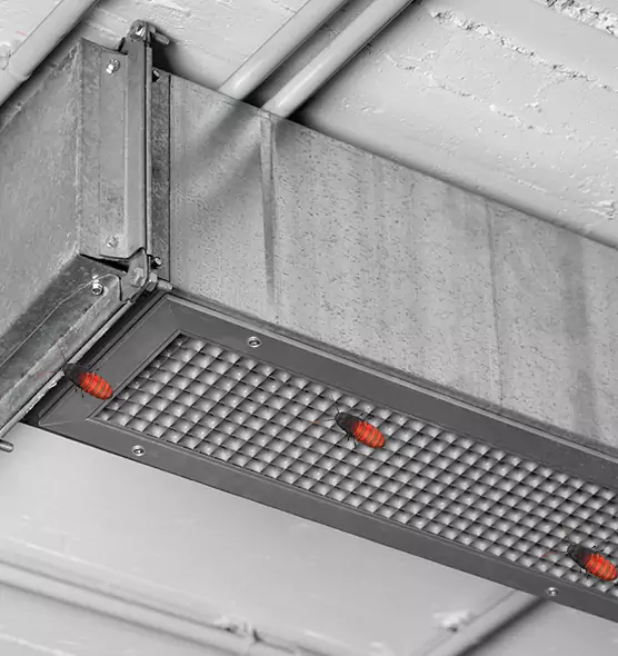 Affordable Insect Removal from Air Ducts in Gillette, WY